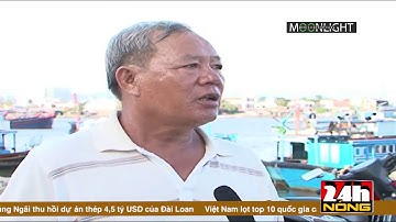 7 NGƯ DÂN KHAI THÁC CÁ NGỪ ĐẠI DƯƠNG ĐỐI MẶT VỚI NỖI LO  KÉP