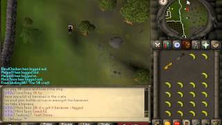 RuneScape - 2007 - Pirate's Treasure