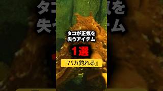 タコ釣りはこれだけで十分だ。#shorts #short #タコ釣り