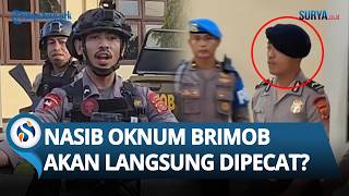 NASIB DI UJUNG TANDUK! Oknum Brimob Jalani Sidang Etik Imbas Aniaya Siswa hingga Tewas, Dipecat?