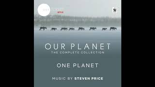 This Glacial Ice | Our Planet: The Complete Collection OST