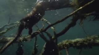 Land of the Falling Lakes - Plitvice National Park