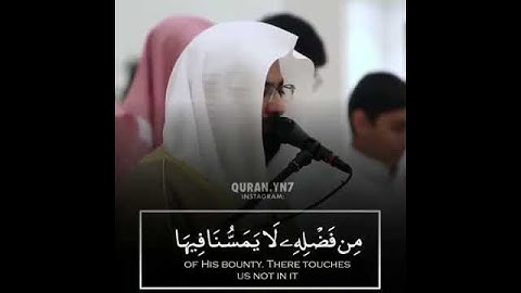 قرآن كريم حالات واتس اب |الشيخ |ناصر القطامي.
