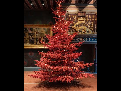 Vidéo: Arbres De Noël : Histoire Et Traditions