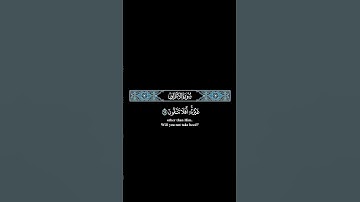 انا لنراك في سفاهة #محمد_ايوب #quran #اكسبلور #راحة_نفسية #tilawat #تلاوة_خاشعة #surah