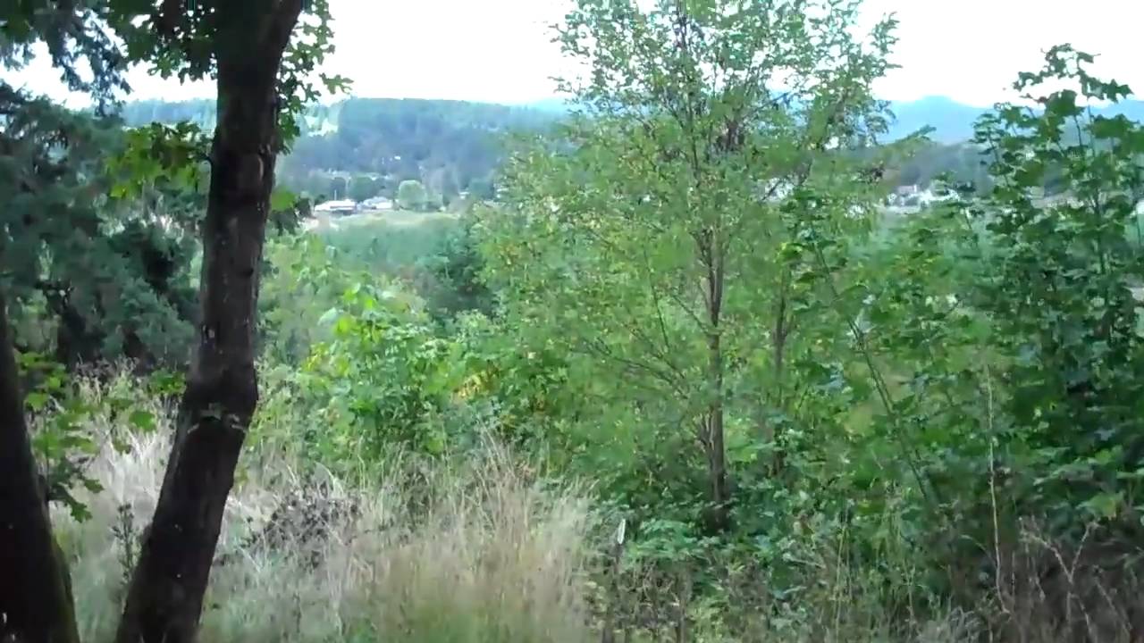 1895 church st dallas oregon home or lot for sale on half acre lot w