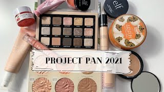 PROJECT PAN INTRO 2021 | My First Project Pan