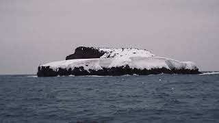 Scott Island, Antarctica.