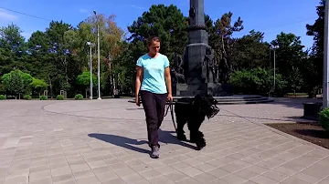 Норматив BH/VT 
