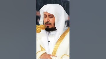 سورة آل عمران بصوت الشيخ سعد الغامدي