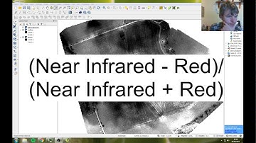 NDVI in QGIS - David Caplin