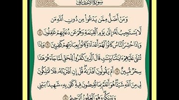 سورة الأحقاف (٥-٨)/ عبدالرحيم الشيزاوي