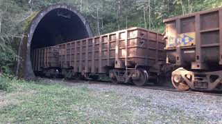 Trem de minério da MRS saindo do túnel em Falcão distrito de Quatis RJ