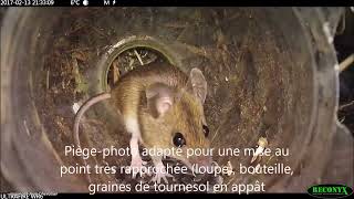 piégeage photo des micromammifères Jean Chevallier : méthodes