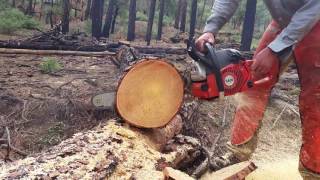 Makita 6421 vs Dolmar 6400 vs Dolmar 7910