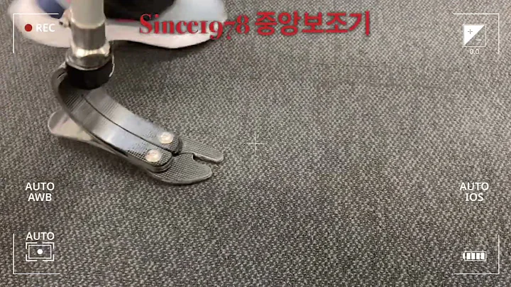 의족 발/프로 플렉스 XC