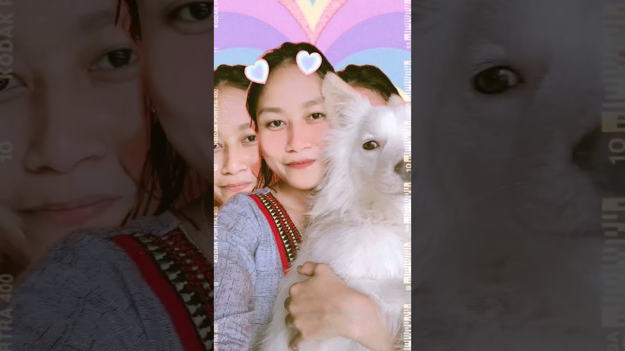 loyal forever ♾️