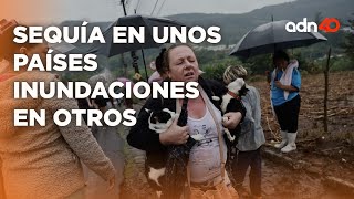 La crisis climática nos respira en la nuca, estamos en riesgo y nadie hace nada I Todo Personal