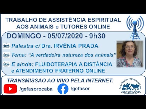 Assista: Trabalho de Assistência Espiritual aos Animais ONLINE - c/ IRVÊNIA PRADA (05/07/2020)