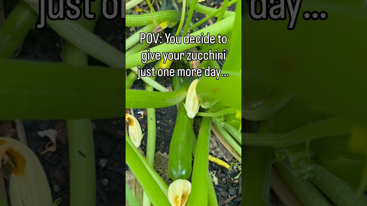 Uploads from From Seed to Spoon Garden Planning App