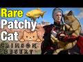 How to Find RARE PATCHY DESERT CAT in Crimson Desert