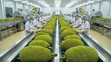 Inside a Massive Jackfruit Factory  How Automated Food Processing Works