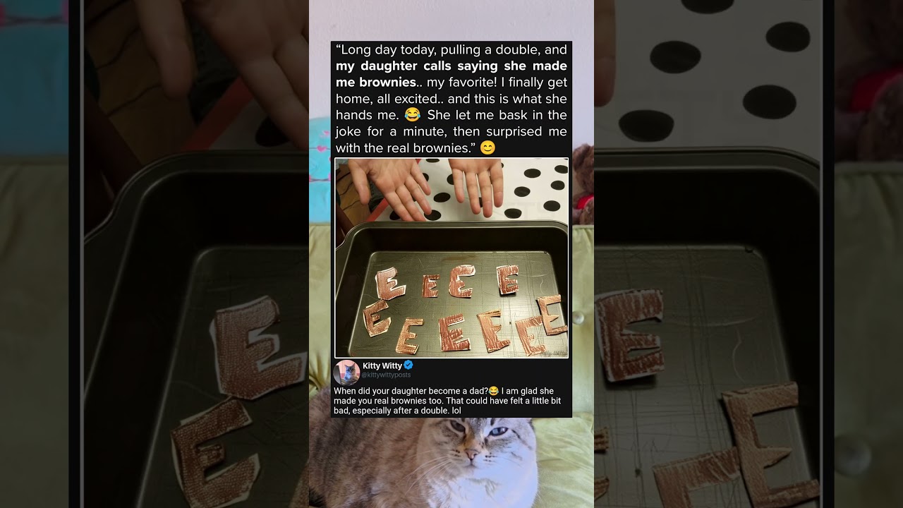 Идеальный обман с брауни