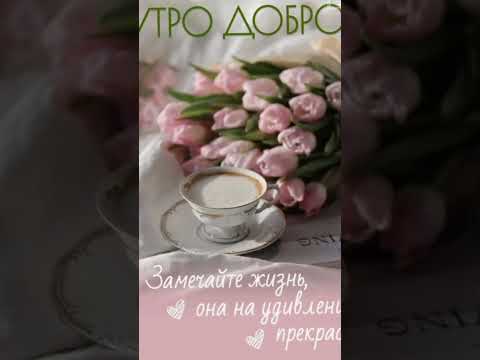 Красивое пожелание с добрым утром! #доброеутро #пожелания #shorts #shortvideo