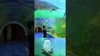 Biggest  Under water Aquarium in India