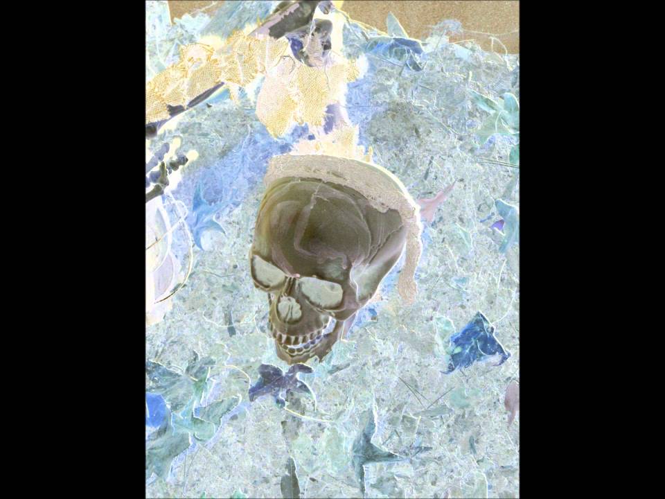 Haunted Forest At The Buford Corn Maze YouTube haunted-forest-at-the-buford-corn-maze-youtube