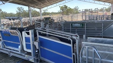 Clipex Handler in operation