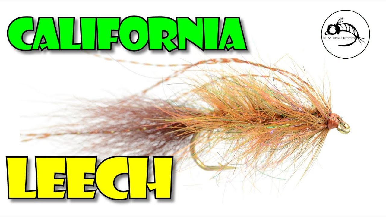 Fly Tying Tutorial California Leech by Fly Fish Food YouTube