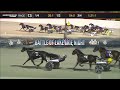 MGM BUCKEYE DISTAFF OHIO SIRED