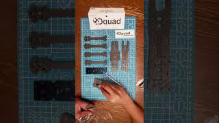 The Dquad Perfection 2023 #shorts #shortsvideo  #shortsfeed  #dquad #shortsviral