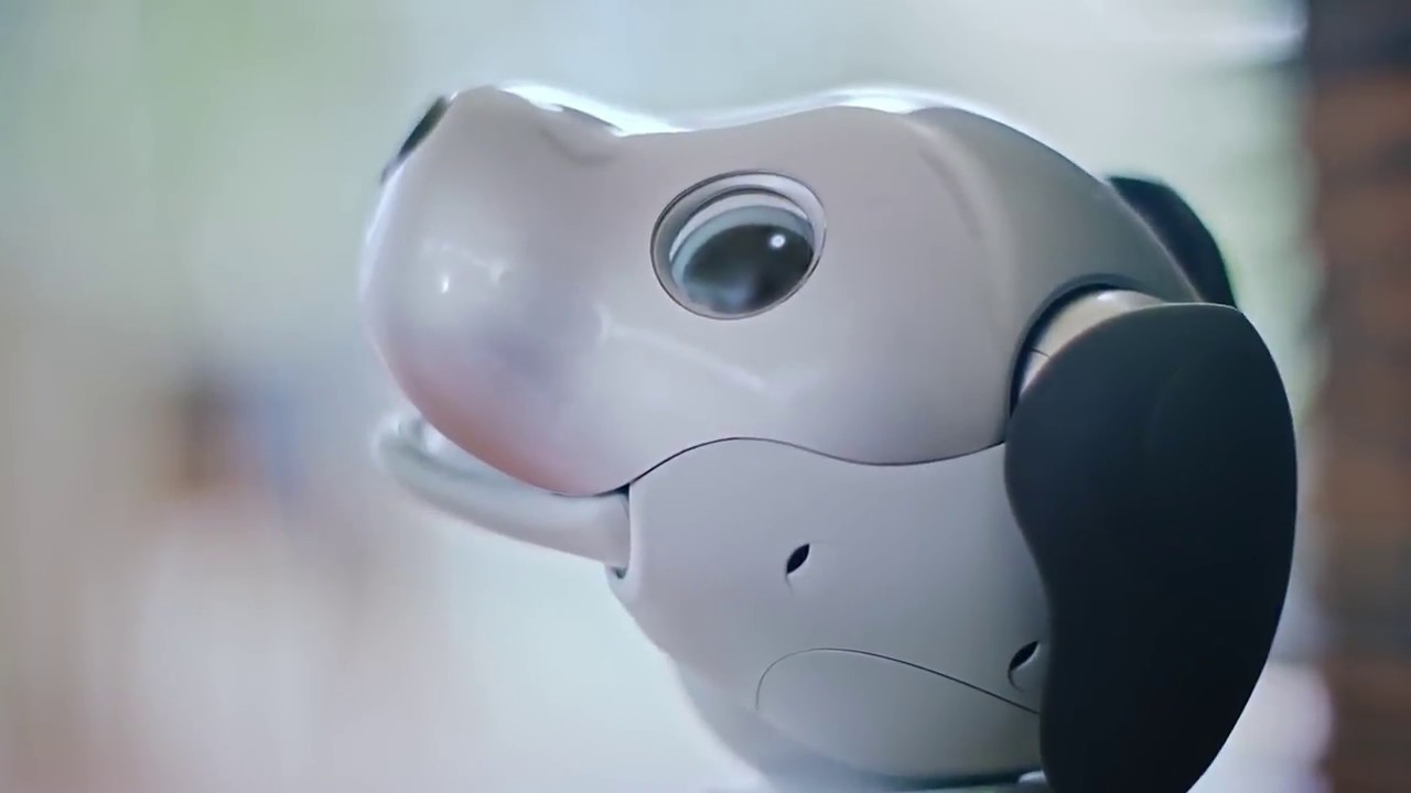 Sony เป็นปลื้ม ไอโบหุ่นยนต์สุนัข AI อัจฉริยะ ขายดิบขายดี