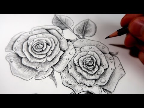 Vidéo: Comment Dessiner Un Bouquet De Roses