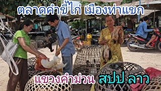 ขายกันแบบนี้เลย!! ขายไก่ขายเป็ดตัวเป็นๆ!! ตลาดคำขี้ไก่!! #เมืองท่าแขก #แขวงคำม่วน #สปปลาว #สาวลาว