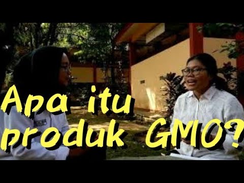 Video: Haruskah Anda Takut Dengan GMO - Pandangan Alternatif