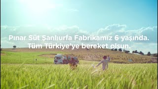 Pınar Süt Şanlıurfa Fabrikamız 6 Yaşında! 🎉 Resimi