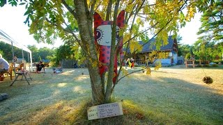 "Laughing Tree" – interactive sound installation