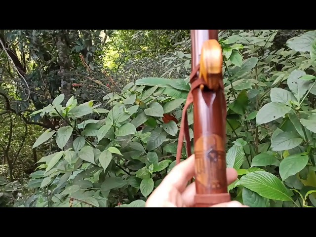 Native Flute E