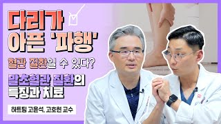 다리가 아픈 '파행', 혈관 질환일 수 있다? 말초혈관질환의 특징과 치료