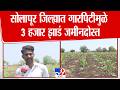 Solapur Farm Loss | सोलापूर जिल्ह्यात गारपिटीमुळे 3 हजार झाडं जमीनदोस्त