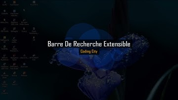 Tutoriel JavaScript Comment faire une barre de recherche animée et grandissante (Coding City)