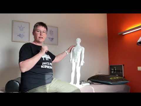 Wat is Acupunctuur? - Acupuncturist Els Van Puymbroeck