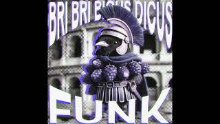 Bri Bri Bicus Dicus Funk Over Slowed