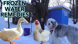 Keeping Water UNFROZEN for Your Animals by Hidden Spring Farm 5,504 views 2 months ago 20 minutes