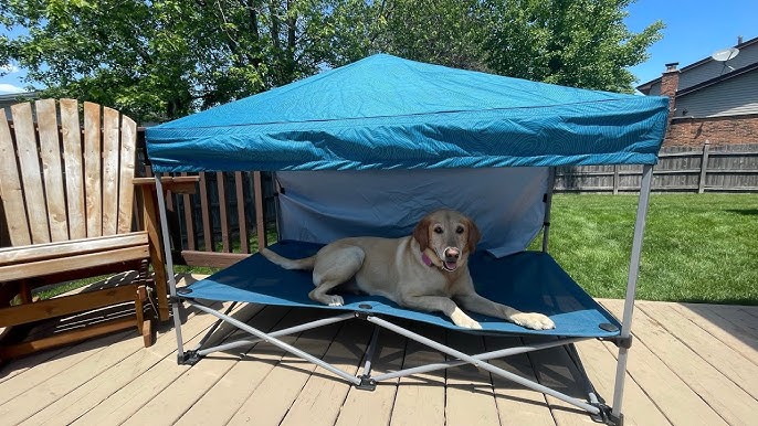 Making an Outdoor Dog Bed and Pup Up Tent (Video Tutorial!) – Just