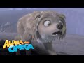 'Humphrey Saves Kate' Scene | Alpha and Omega