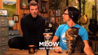 Rhett The Cat- Gmm Clip